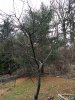 IMG_20181215_152647394.jpg