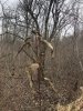 0E6B743D-B038-4A92-A068-9C1577D278BA.jpeg