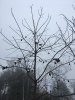 IMG_6076.JPG