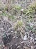 20181218_161301.jpg