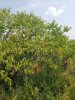 20180812_140114.jpg