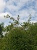 20180729_113032.jpg