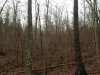 IMG_1065.JPG