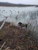 20181231_170621.jpg