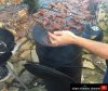 Chip's Outdoor Channel.jpg