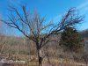 20190104_114043.jpg