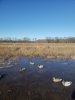 20190104_141556.jpg
