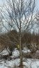 0108190952_HDR.jpg
