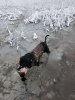20190112_103749.jpg