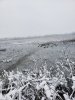 20190112_101631.jpg
