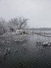 20190112_131026.jpg