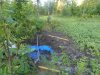 DSCN0955.JPG