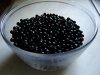 DSC01750 (Small).JPG