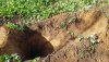 Rubbing Post Hole.jpg