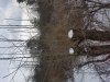 20190127_151206.jpeg