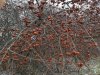 20181224_131453.jpg
