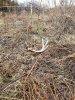 20190207_141721_resized.jpg