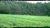 02907969-615E-4097-8FBA-B51DEA413FF9.jpeg