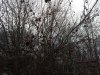 IMG_20190207_100813031.jpg
