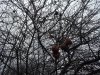 IMG_20190207_100658285.jpg