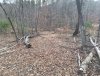 IMG_6177.jpg IMG_6177.jpg