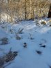 20190218_162048.jpg