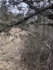 D7C6771B-3CF6-4D17-8C38-E1B20E8D3FF8.jpeg D7C6771B-3CF6-4D17-8C38-E1B20E8D3FF8.jpeg