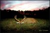 A92AA90C-CC1D-4EF9-9BCB-70F7ECAC3C01.jpeg