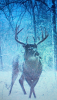 16623821-1645-4DF6-87DC-993C21A87C67.png