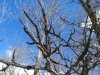 IMG_20190304_133322570.jpg