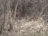 IMG_7162.JPG