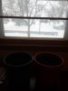 20190308_175641.jpg