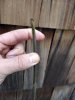 IMG_20190310_150628771.jpg