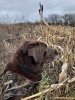 20181202_104612.jpg