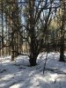 IMG_4588.JPG