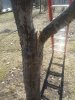 20190330_132727.jpg 20190330_132727.jpg