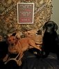 Resized_20190331_220734_1864.jpeg