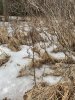 A97ADEED-4599-47C9-ABA8-D1B7939AC794.jpeg