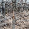 20190324_133459.jpg