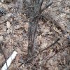 20190324_133604.jpg