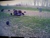 9AB9D91A-8C8C-4006-AB5F-8F592587A50D.jpeg