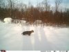 FB_IMG_1554336162547.jpg