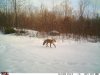 FB_IMG_1553995765669.jpg