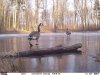 FB_IMG_1555127160600.jpg