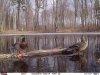 FB_IMG_1554420500773.jpg