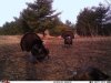 FB_IMG_1555127156443.jpg