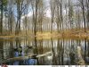FB_IMG_1555370413621.jpg