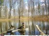 FB_IMG_1555370423393.jpg