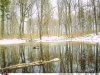 FB_IMG_1555370431740.jpg