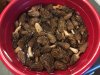 shrooms.jpg